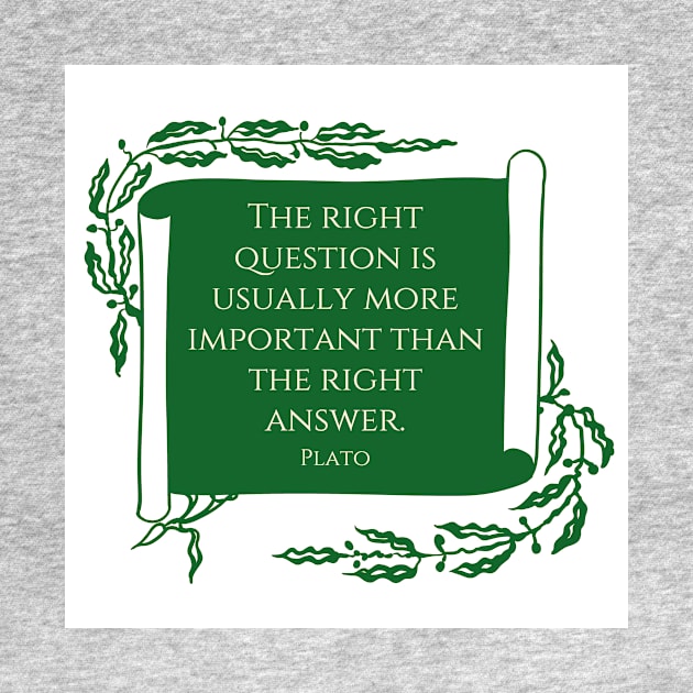 The right questions. A quote by Plato by philipinct